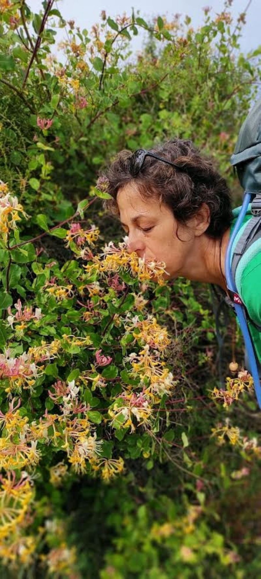 Chemin fleuri